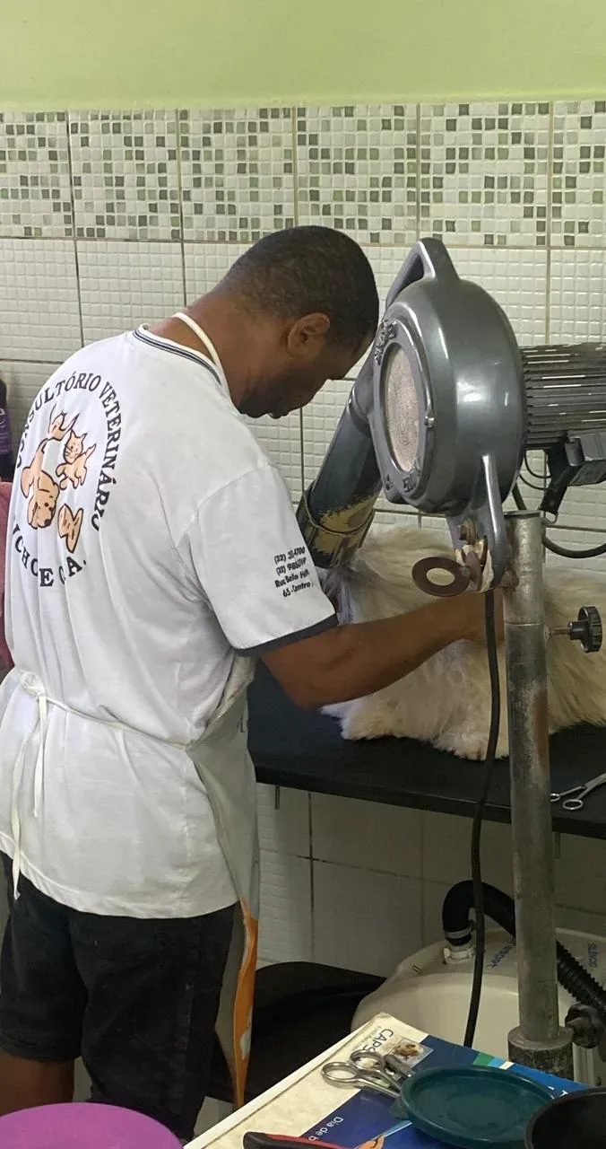 Profissional da Bichos & Cia durante atendimento de banho e tosa
